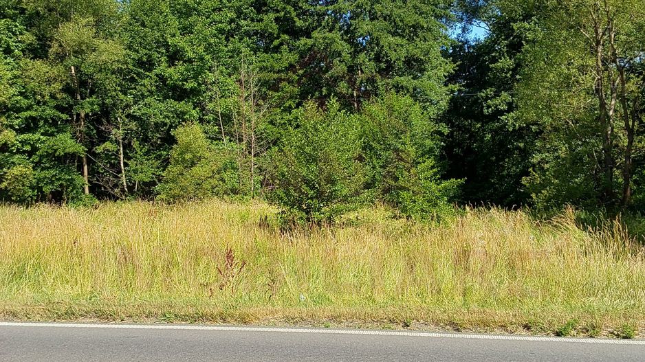 TEREN INTRAVILAN ÎN MARGA-LA DN68 JUD.CARAȘ-SEVERIN - Poză 3