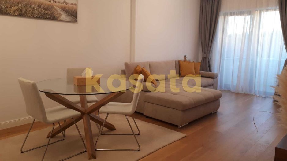 Apartament 2 camere de inchiriat Herastrau - Poză 2