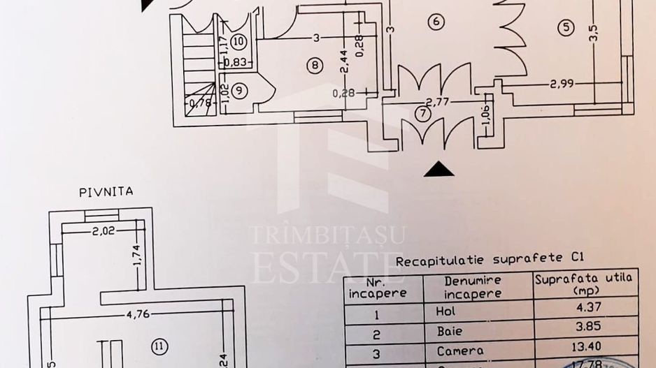 Piata Muncii - Decebal, casa 87 mp totali, 179 mp curte libera, - Poză 35