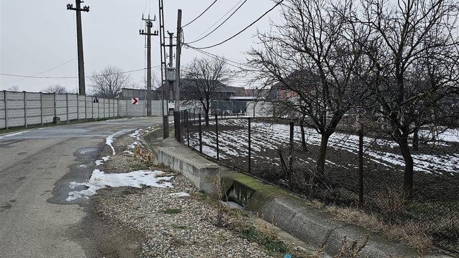 Casa Uileacu de Cris - Poză 12