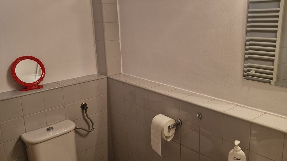 Apartament cu 2 camere de inchiriat - Piata Victoriei - Poză 12