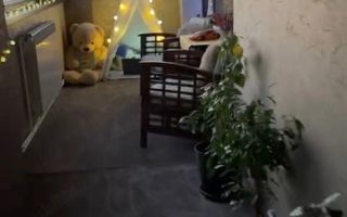 De Inchiriat apartament cu două camere, Aleea Meteo, 400 Euro - Poză 3