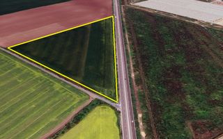 Teren Intravilan 4,5 ha – Poziție Strategică vis-à-vis de Aeroportul MK - Poză 4