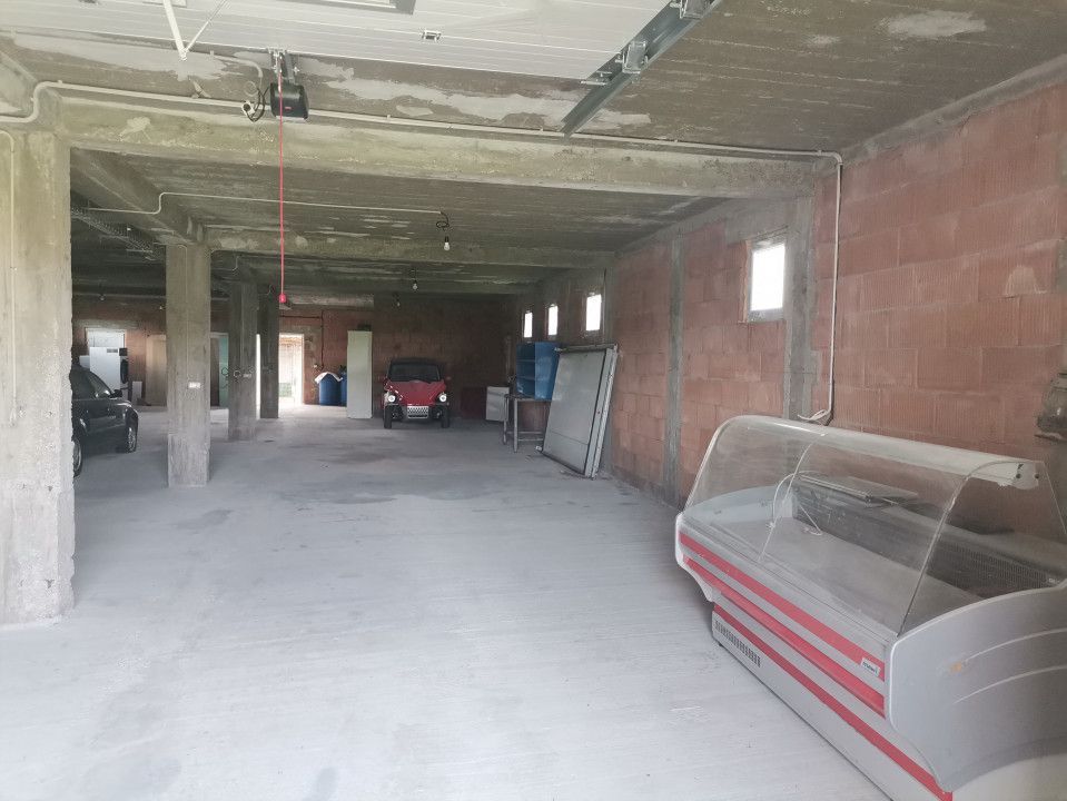 Inchiriere hala depozitare si teren, Labusesti - Poză 8