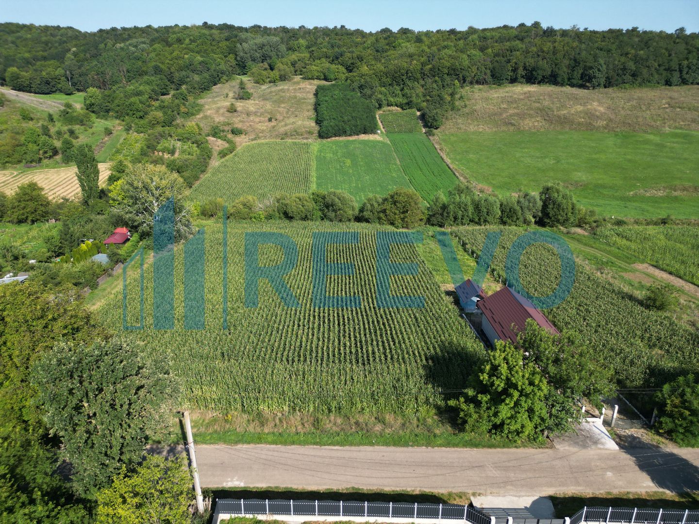 Teren intravilan de vânzare, Sat Bogdănști, Com. Traian - Poză 4