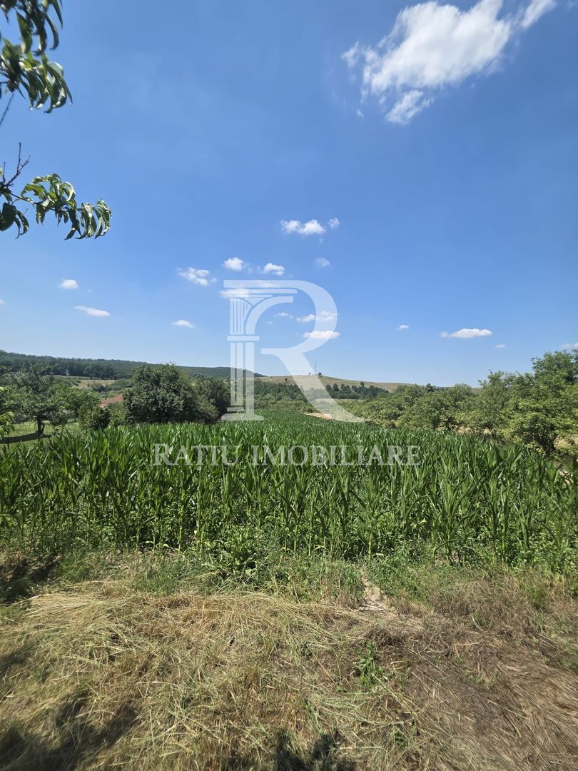 Casa de vânzare cu teren generos | Sumugiu | Bihor - Poză 30
