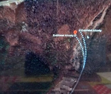 Teren Padure, Sat Gheorgheni, Cluj, langa Centura - Poză 3