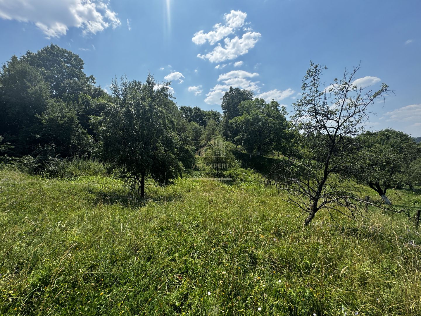 TEREN INTRAVILAN 2146 MP, ALBESTII DE MUSCEL, ARGES - Poză 12