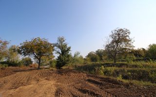 Teren 5963 mp deschidere lac Grivita 42 m cu deschidere la strazi 77 m - Poză 16