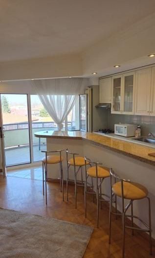 Ap 3 camere Primaverii vedere Herastrau - Poză 1