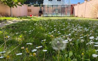 Braytim | 4 camere | 140 mp | Teren 337 mp | Garaj | Panouri FV - Poză 6