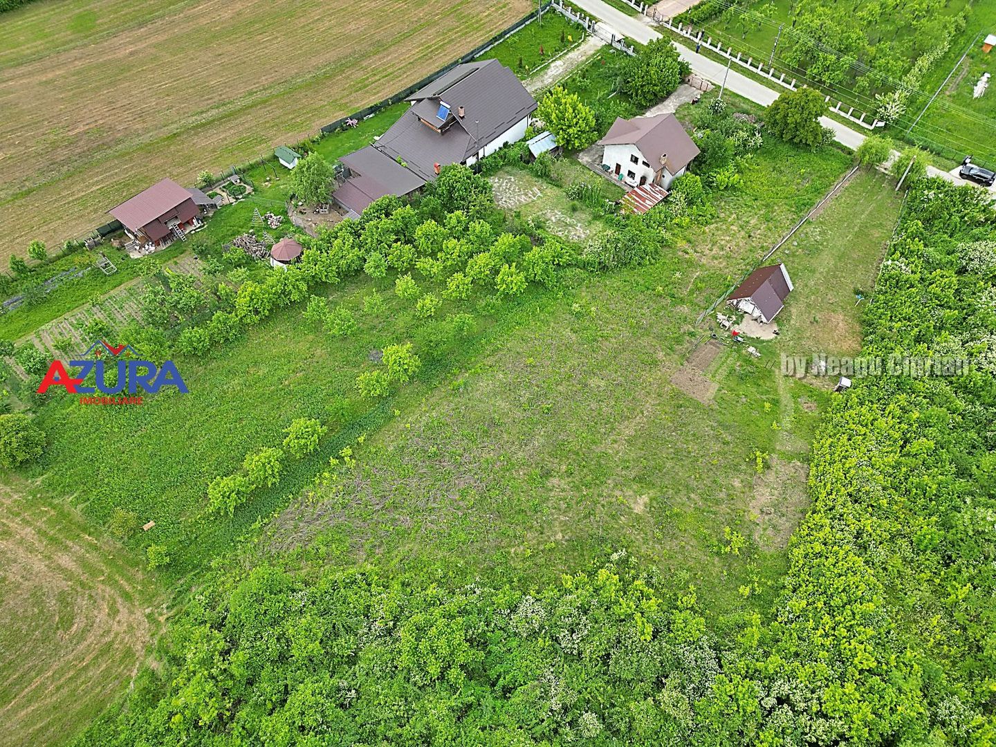 Vanzare teren intravilan, Calinesti - Poză 11