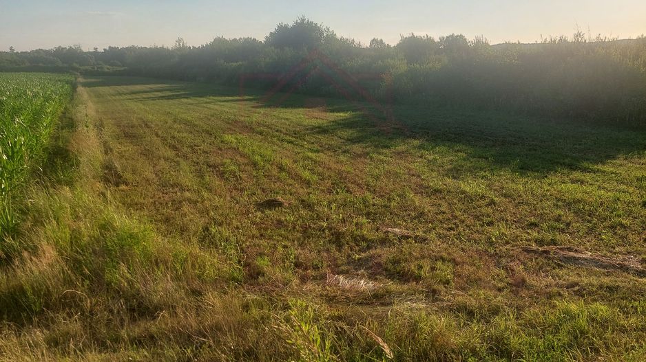 TEREN DE VÂNZARE-32480 mp CARANSEBEȘ JUD.CS,  0% COMISION - Poză 6