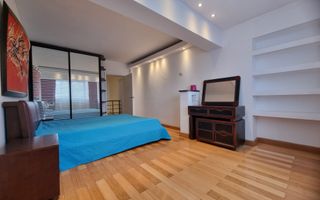 VANZARE- 3 CAMERE-PENTHOUSE -UNIRII - Poză 9