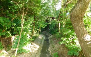 Vilă cu 1.350 mp teren în mijlocul orașului Grădina Botanică - Poză 20