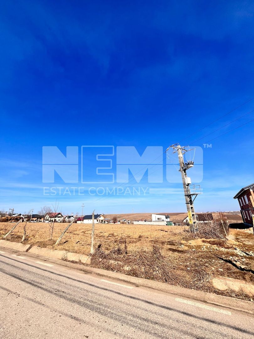 Vanzare I TerenIntravilan I Moara Nica/Suceava I 12.300 Mp I 64Euro/Mp - Poză 2