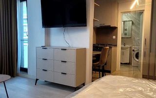 Apartament de închiriat, o cameră, etaj 1, zona Visani - Sf Ilie, Iași - Poză 3