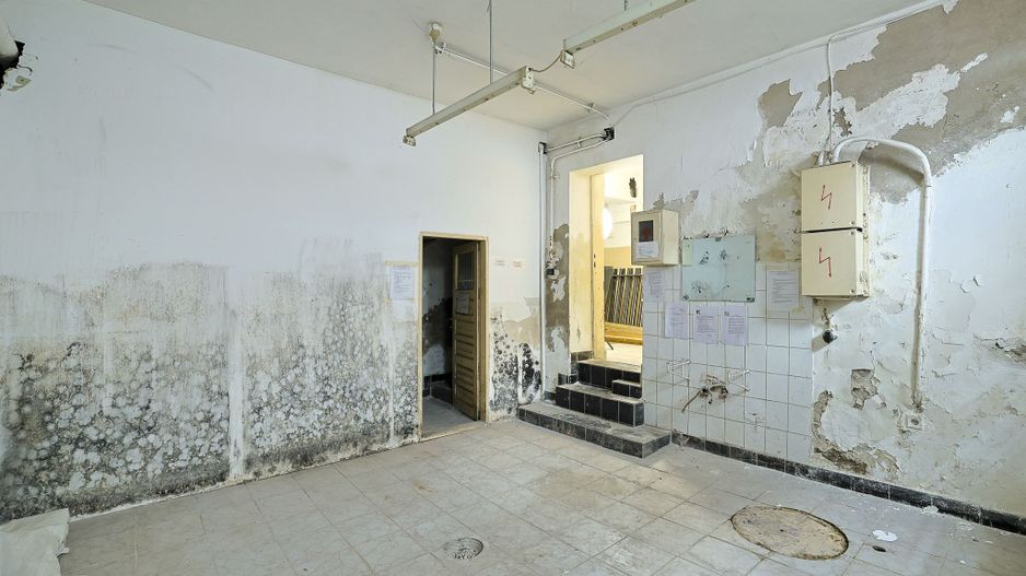 PIATA ROMANA - Calea Dorobanti | Vila - Spatiu Comercial - Poză 34