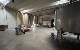 Hala productie/ depozitare/ showroom - suprafete modulare 600/ 900/ 2.300 mp. - Poză 5