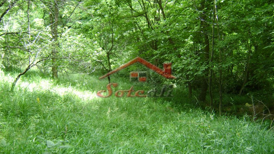 Teren de vanzare Cornu 3074 mp - Poză 1