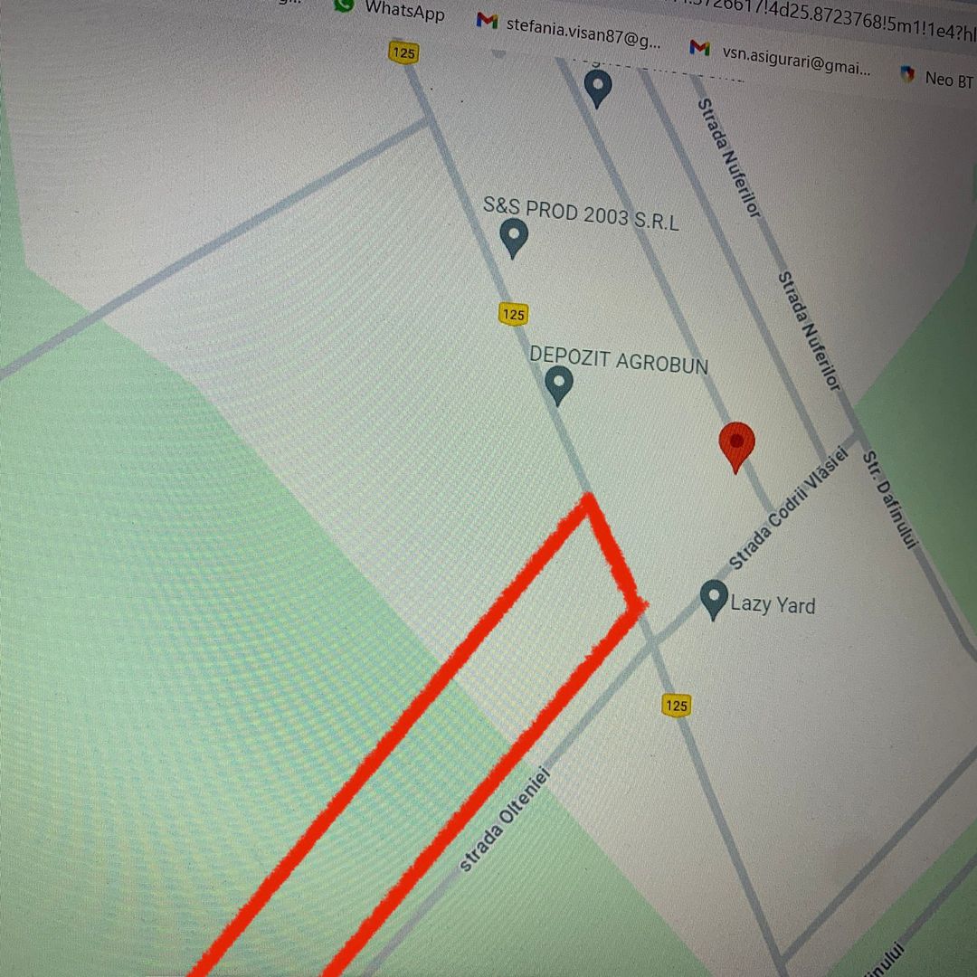Teren de vanzare Domnesti-Teghes 16.400 mp Intravilan - Poză 2