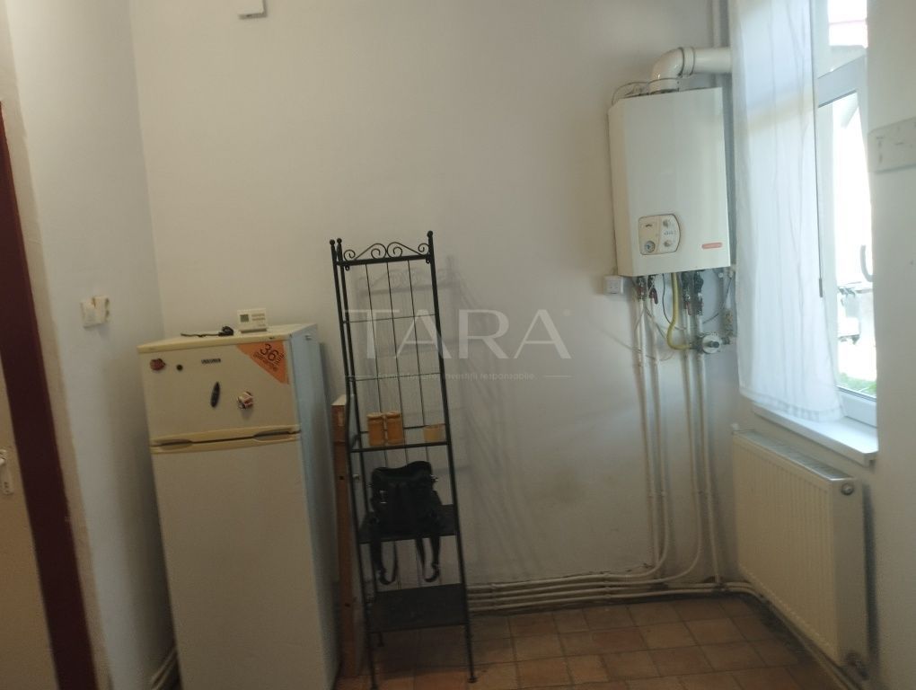 Apartament cu 1 Cameră și Curte – Gruia, Zonă de Case - Poză 4