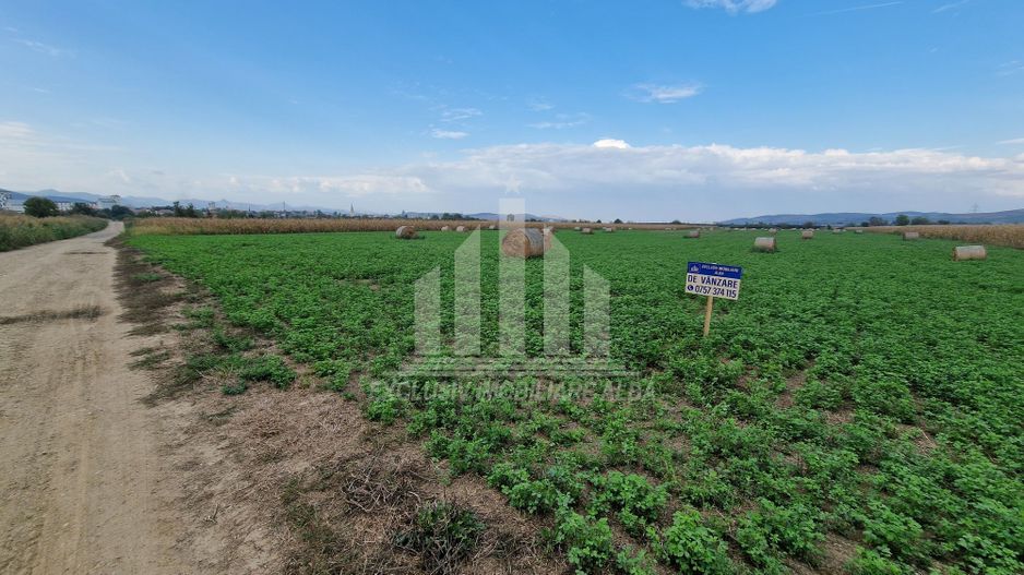 20 de parcele pentru constructii langa soseaua de centura - Poză 3