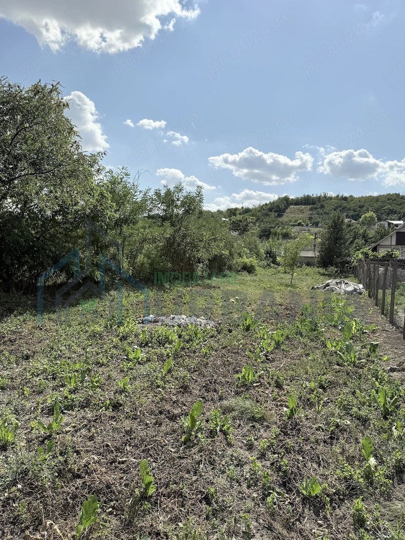 Casă + Teren 521 mp în Sat Bălteni, Comuna Probota, Județul Iași - Poză 9