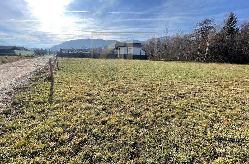 Teren 3349 mp de Vânzare | Bran – Panoramă Munții Bucegi - Poză 2