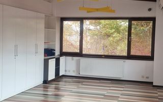 Vila P+2, suprafata 380 mp, Principatele Unite, Piata Unirii - Poză 4