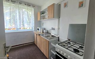 Chirie 2 Camere Satu Mare Central - Poză 2