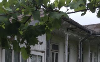 Casă Bătrânească în Satul Moreni, Comuna Prisecani, Iași - Poză 3