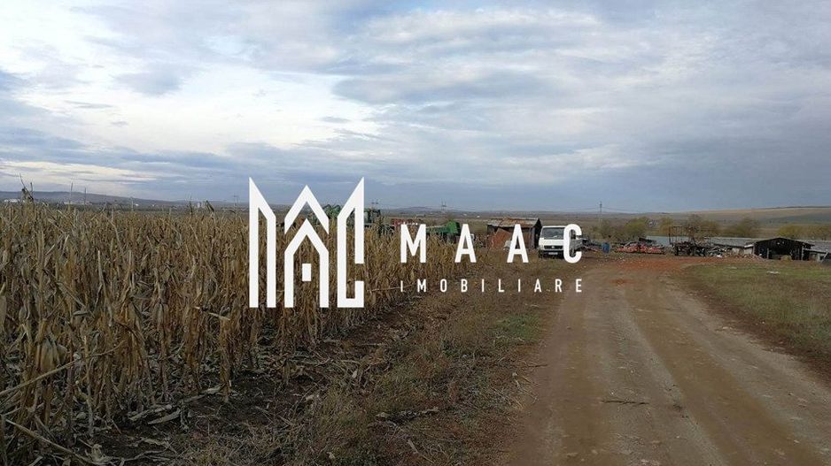 Teren intravilan I Zona Calea Surii Mici- Magnolia - Poză 5