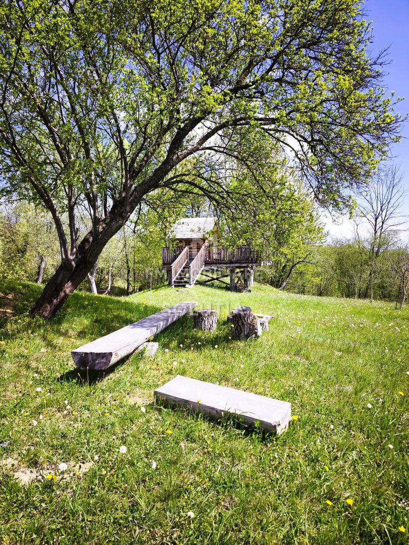 Pensiune agroturistică de vânzare | Desești – Maramureș - Poză 19