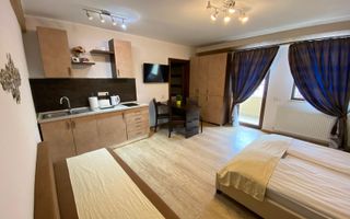 Studio de închiriat-Zona Centrala-1-3 luni - Poză 2