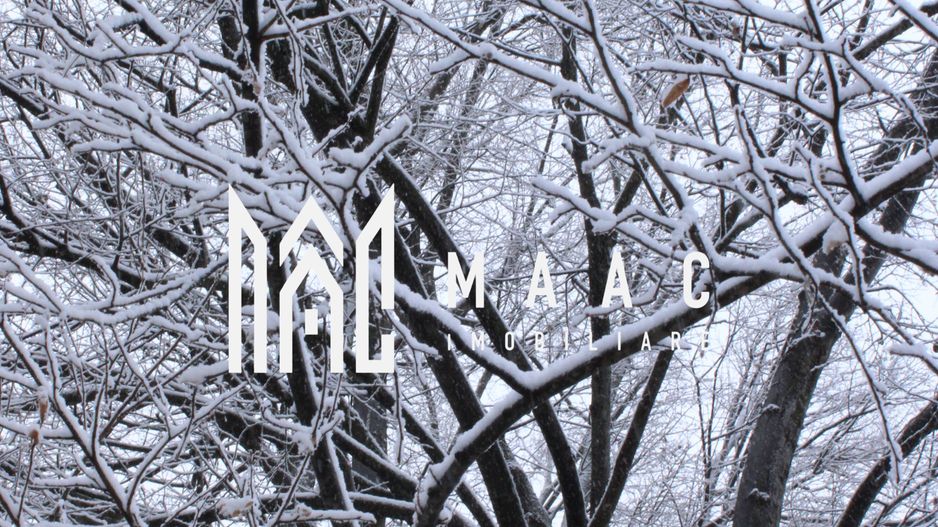 Teren cu izvor de apă minerală  Dangești, Punctul Valea Mare - Poză 29