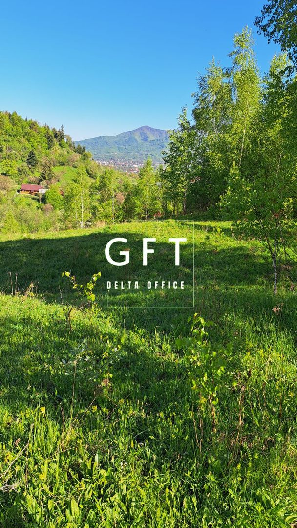 Teren extravilan de vanzare, Bistrita Bargaului- 10 minute de Colibita - Poză 5