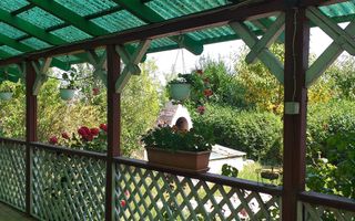 CASA 4 CAMERE, 2000 MP TEREN, ZONA KAUFLAND - Poză 13