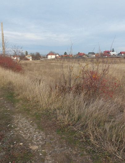 Oferta Teren Bradu - Poză 3