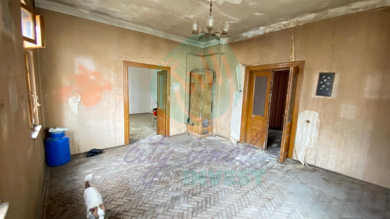 Vilă interbelică  în Aviatorilor - Poză 8