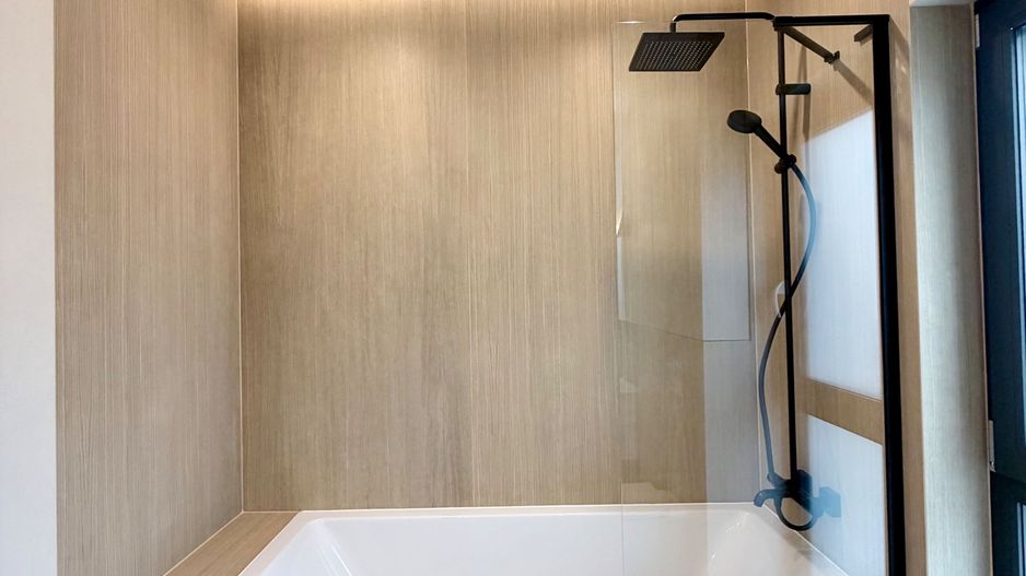 PROIECT DEOSEBIT ZONA LIPOVEI - Poză 15