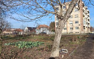 BRASADAS vinde 2000 mp. teren intravilan Diana Titulescu. - Poză 1