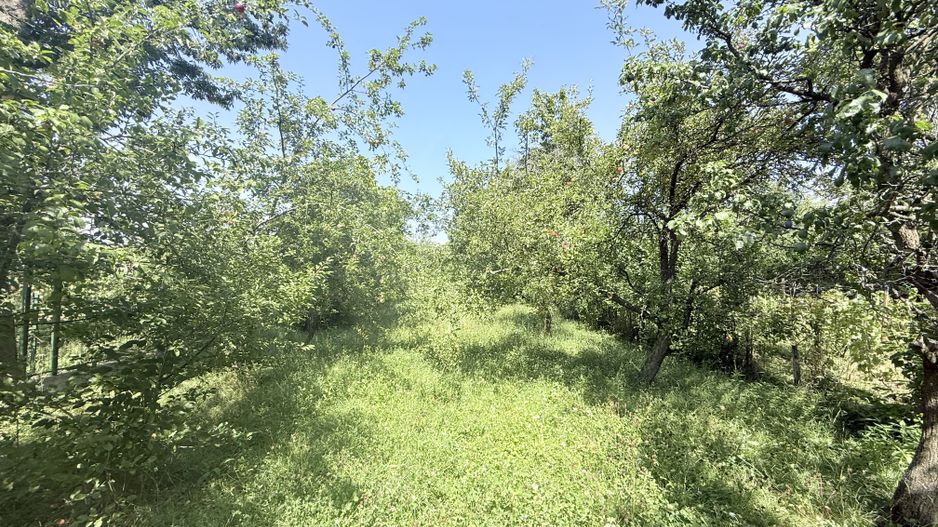 Casa interbelică cu arhitectură deosebită+Anexa și teren 1570 mp - Poză 35