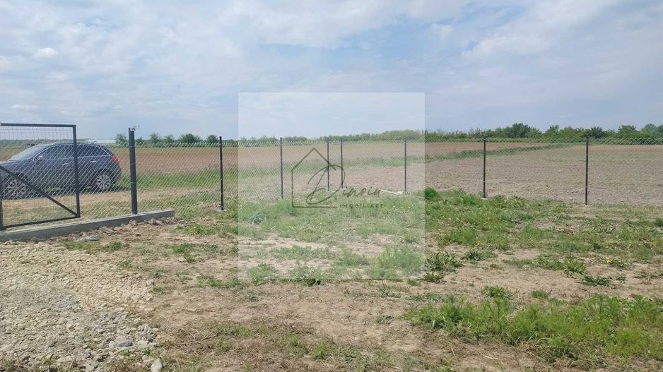 Teren intravilan 2078 mp langa padure - Piscu Ciolpani Snagov - Poză 6