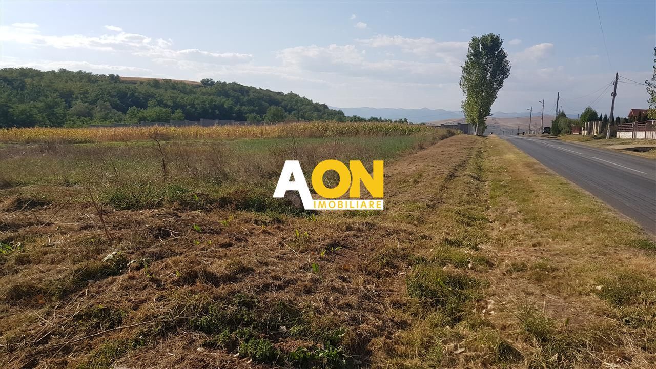 Teren intravilan Teleac cu toate utilitatile - Poză 2