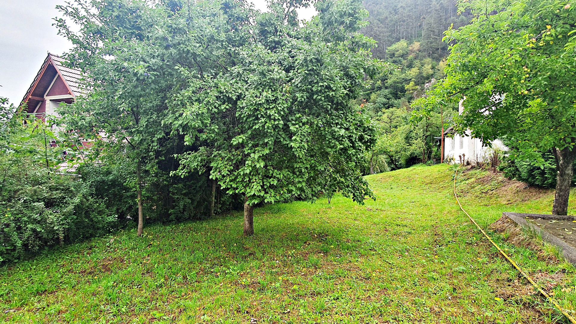 Schei gradina +casa de vacanta,  intre case,front pe trei parti - Poză 5
