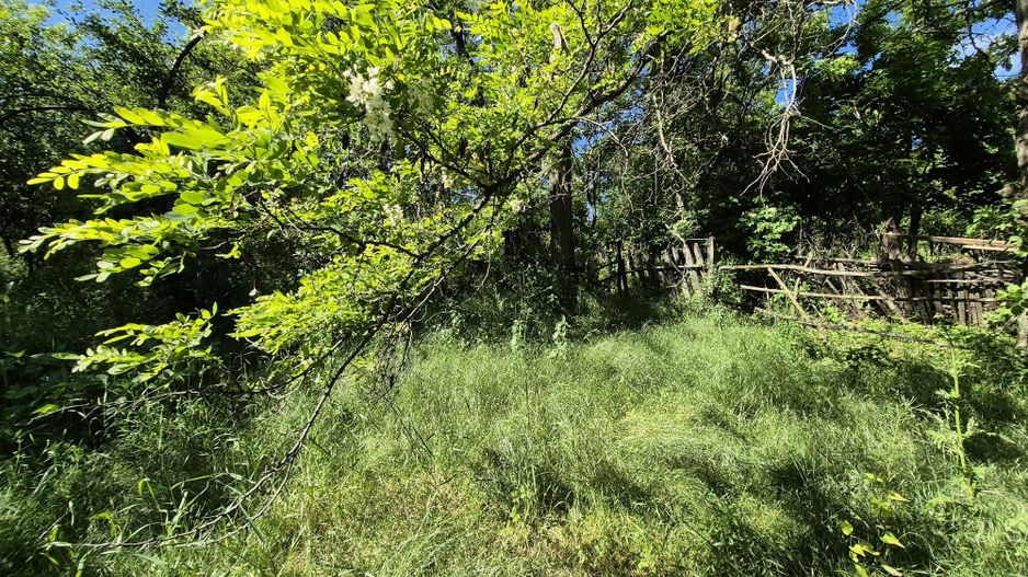Teren intravilan 1290 mp Plaiu-Provita de Sus - Poză 17