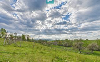 Casă cu teren de 17.681 mp, în loc. Hălmăgel, Arad - Poză 17