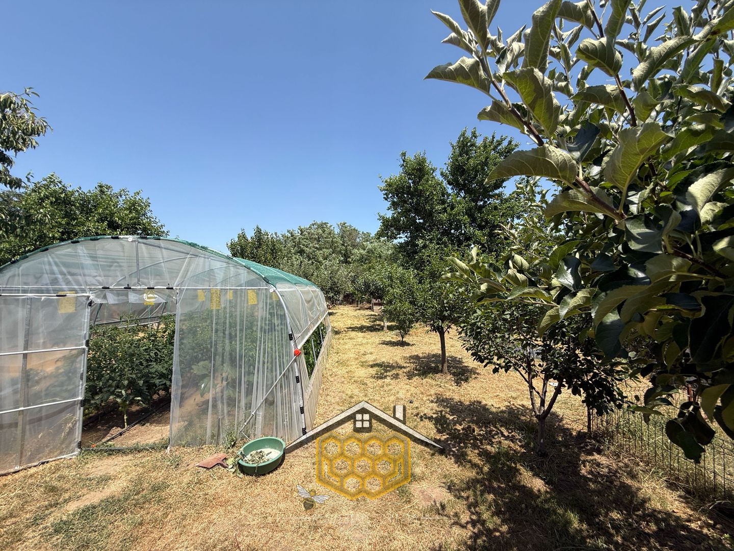 Casa individuala P+ Pod +Beci in sat Robanesti, 10 minute de Craiova - Poză 19