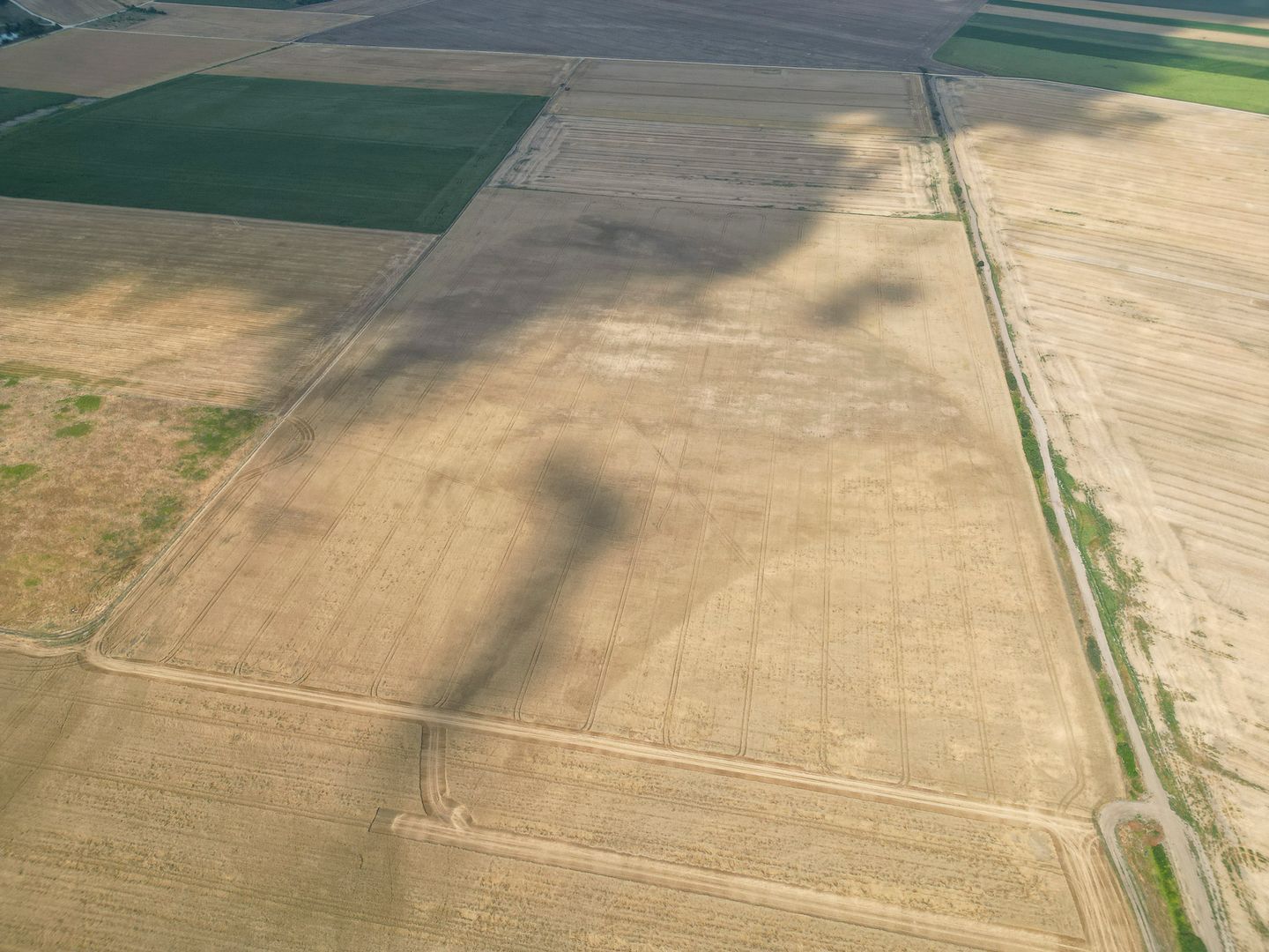 AFACERE COMPLETĂ SORTARE DEȘEURI + TEREN 66,49 HA - Poză 3